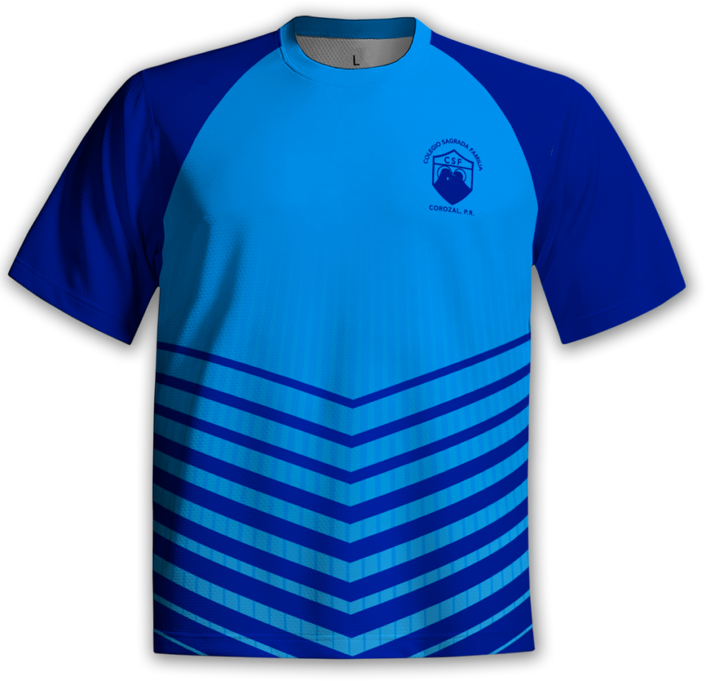 CSF Intermediate/High Tshirt